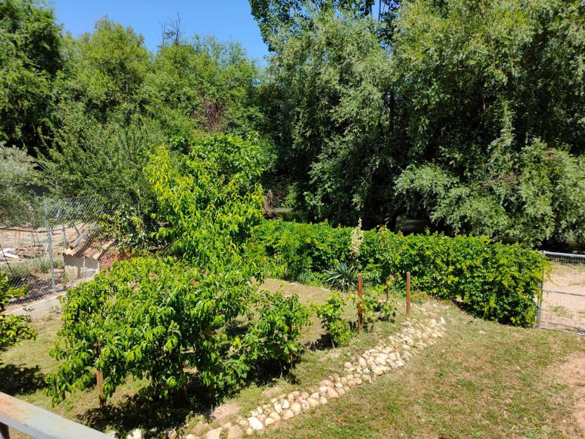 Vivienda Rural Mogon-Junto Al Guadalquivir B Villa Виякарийо Екстериор снимка
